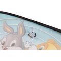 Clona slnečná na bočné okno LOONEY TUNES 2ks