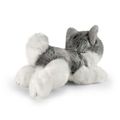 Plyšový pes husky 21 cm ECO-FRIENDLY
