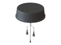 Cisco - Anténa - 2,6 dBi (pre 698 - 960 MHz), 4,6 dBi (pre 1710 - 2700 MHz) - všesmerová - vonkajšia - polykarbonátová čierna - pre Industrial Router 829
