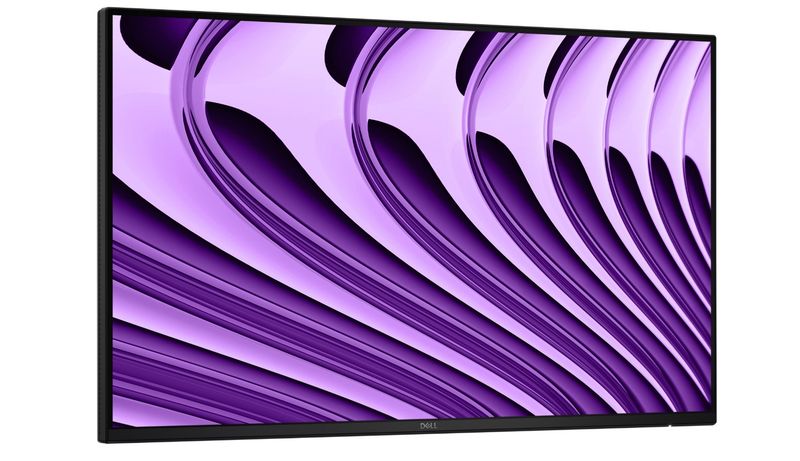 Dell Pro P/P2426HE/bez stojana/23,8''/IPS/FHD/120Hz/5ms/Sivá/3R