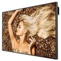 BENQ SL6502K, LED Panel 4K UHD 65"