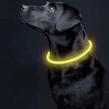 Svietiaci obojok pre psov LED Purlov 24200, regulovateľný, nabíjací USB-C Svíticí obojek pro psy LED Purlov 24200, regulovatelný, nabíjecí USB-C