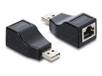 Delock - Sériový adaptér RS-232 - USB (M) do RJ-45 (F) - USB 2.0 - čierna