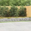 vidaXL Zaoblený gabiónový záhon 600x100x50 cm, pozinkované železo