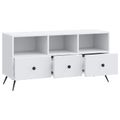 vidaXL TV skrinka Biela 102 x 34,5 x 50 cm Kompozitné drevo