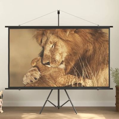 vidaXL Projekčné plátno so statívom 84" 16:9