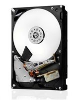 Western Digital Ultrastar® HDD 4TB (HUS726T4TALA6L4) DC HC310 3.5in 26.1MM 256MB 7200RPM SATA 512N SE (GOLD WD 4TB)