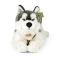 Veľký plyšový pes husky s postrojom 60 cm ECO-FRIENDLY