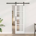 vidaXL Posuvné dvere ORKDAL Biela 61 x 198,5 cm