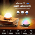 Obulb Pro S 
(Grey) OLIGHT 3.7V 1650mAh 
Rechargeable (Built-in)