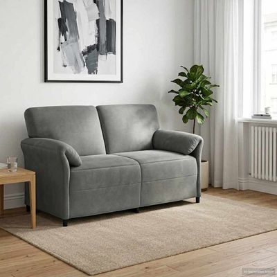 vidaXL 2-miestna pohovka Tmavosivá 158 x 83 x 95 cm Zamat