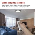 LED nástenné svietidlo ILVI, kruhové 45 W, stmievanie + CCT, čierna + šampanská
