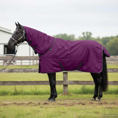 vidaXL Plášť pre kone Tmavozelená a čierna 135 cm Polyester
