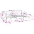 vidaXL Denná posteľ s výsuvným lôžkom bez matraca 80x200 cm