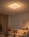 LED stropní svítidlo TR-605S - FLORA 60W 5700lm 53x53cm CCT + ovladač Trixline