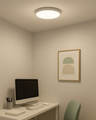 LED stropní 3CCT svítidlo TR-74S - 24W 2500lm ø30x2,5cm Trixline