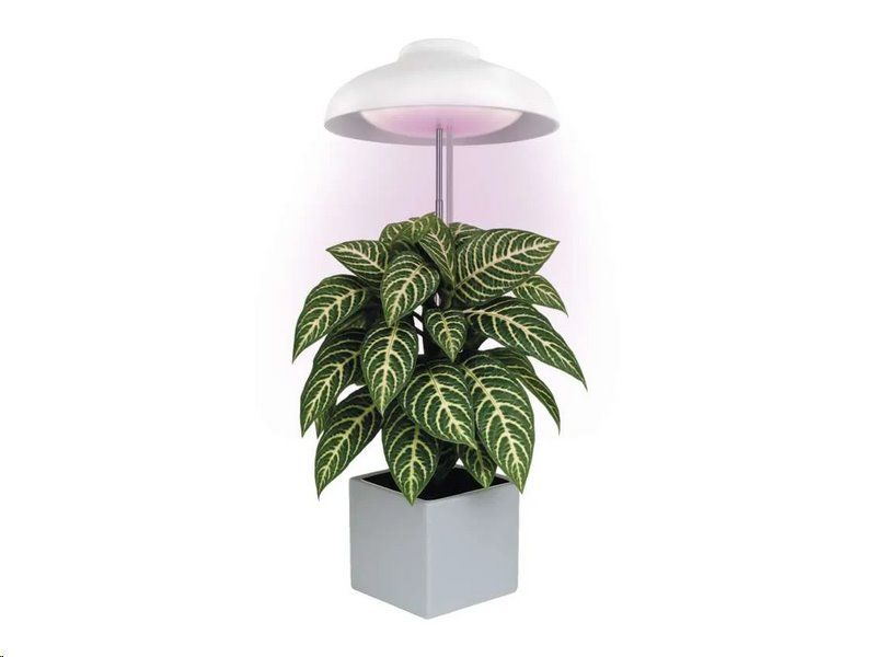 Pozemné svetlo EMOS Z7901 LED GROW 5 W, časovač, biela