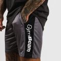 Šortky Vertical Grey - GymBeam, veľkosť XL