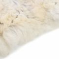 vidaXL Ovčia koža krémová (60-70)x(90-100) cm