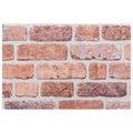 vidaXL Nástenné panely 10 ks 100 x 50 cm Červená EPS pena