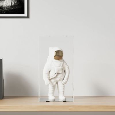 vidaXL Priehľadná reklamná krabica 20x20x38 cm akrylová