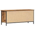 vidaXL TV skrinka 100 x 35 x 45 cm Staré drevo Kompozitné drevo