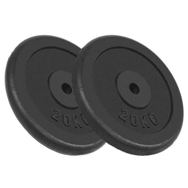 vidaXL Závažia na činky 2 ks, 2x20 kg, liatina