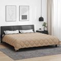 vidaXL Zimný prehoz 200 x 220 cm 450 gsm Mikrovlákno (100% polyester)