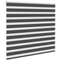 vidaXL Zebra roleta čierna 165x100 cm šírka látky 160,9cm polyester