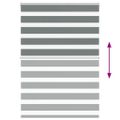 vidaXL Zebra roleta tmavošedá 100x100 cm šírka látky 95,9 cm polyester