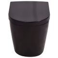 vidaXL Keramické závesné WC so skrytou nádržou čierne