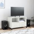 vidaXL TV skrinka biela 68x39x43,5 cm oceľ