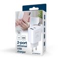 GEMBIRD TA-UC-2AC12-01, Nabíjačka, USB/USB-C, 12W