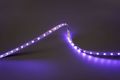 Modee LED pás DC24V 14,4W/m 60LED/m 8mm IP20 RGB (360 lm/m) B5 (ML-LS24V72W60L/MRGBB5)