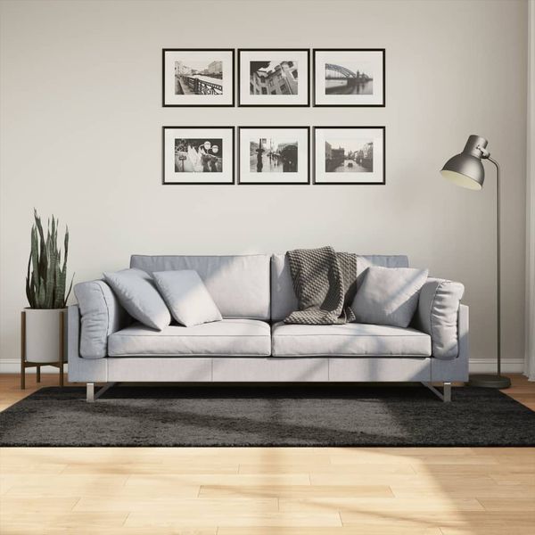 vidaXL Koberec ISTAN vysoký vlas lesklý vzhľad antracitový 100x200 cm