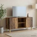vidaXL TV skrinka 102 x 34,5 x 50 cm Staré drevo Kompozitné drevo