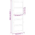 vidaXL Dvere do stodoly 80x1,8x204,5 cm masívna borovica