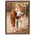 vidaXL Fotorámiky na stenu alebo stôl 5 ks hnedé 29,7x42 cm MDF