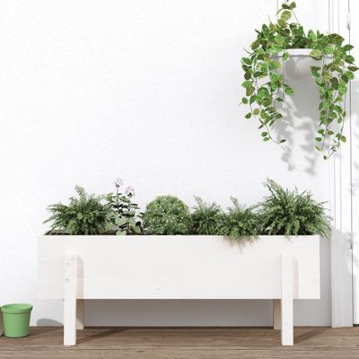 vidaXL Záhradný vyvýšený záhon biely 101x30x38 cm borovicový masív
