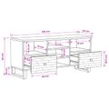 vidaXL TV skrinka Corona Hnedá 100 x 33 x 46 cm Masívne mango drevo
