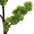 vidaXL Umelý bonsaj, borovica s kvetináčom 60 cm, zelený