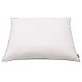 vidaXL Vankúše s výplňou z páperia/peria 2 ks ťažké 70x60 cm biele