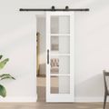vidaXL Posuvné dvere ORKDAL Biela 61 x 198,5 cm