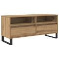 vidaXL TV skrinka 100 x 34,5 x 44,5 cm Remeselný dub