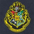 Vlajka Harry Potter - erb Rokfortu
