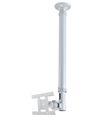 Neomounts  FPMA-C100SILVER / Flat Screen Ceiling Mount (Height: 79-129 cm) / Silver Držák, VESA, stropní, pro monitor, úhloprícka 10"-30", náklon 180°, otácení 180°, rotace 360°, nosnost 12kg, stríbrný