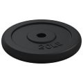 vidaXL Závažie 20 kg liatina