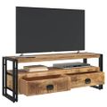 vidaXL TV skrinka 120x35x45 cm masívne mangovníkové drevo