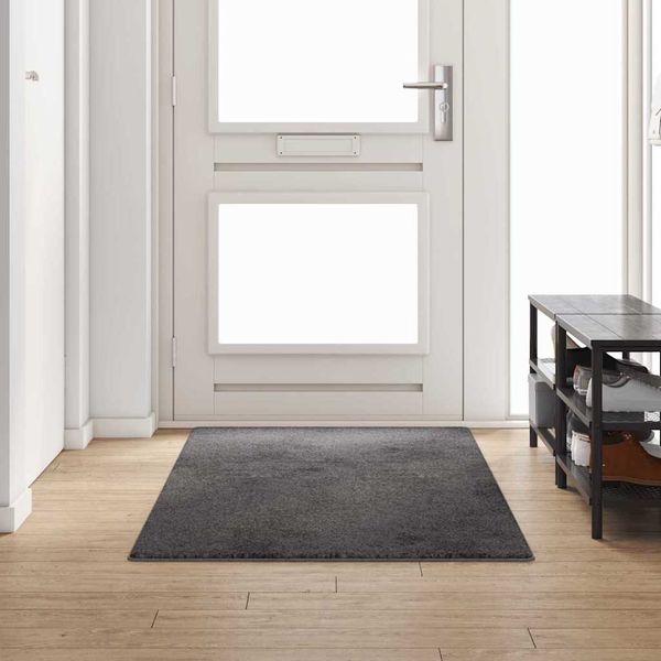vidaXL Behúň koberec Sivá 100 x 250 cm 100% Polypropylén Tuft