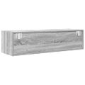 vidaXL TV skrinka 100 x 31 x 25,5 cm Sivý dub sonoma Kompozitné drevo
